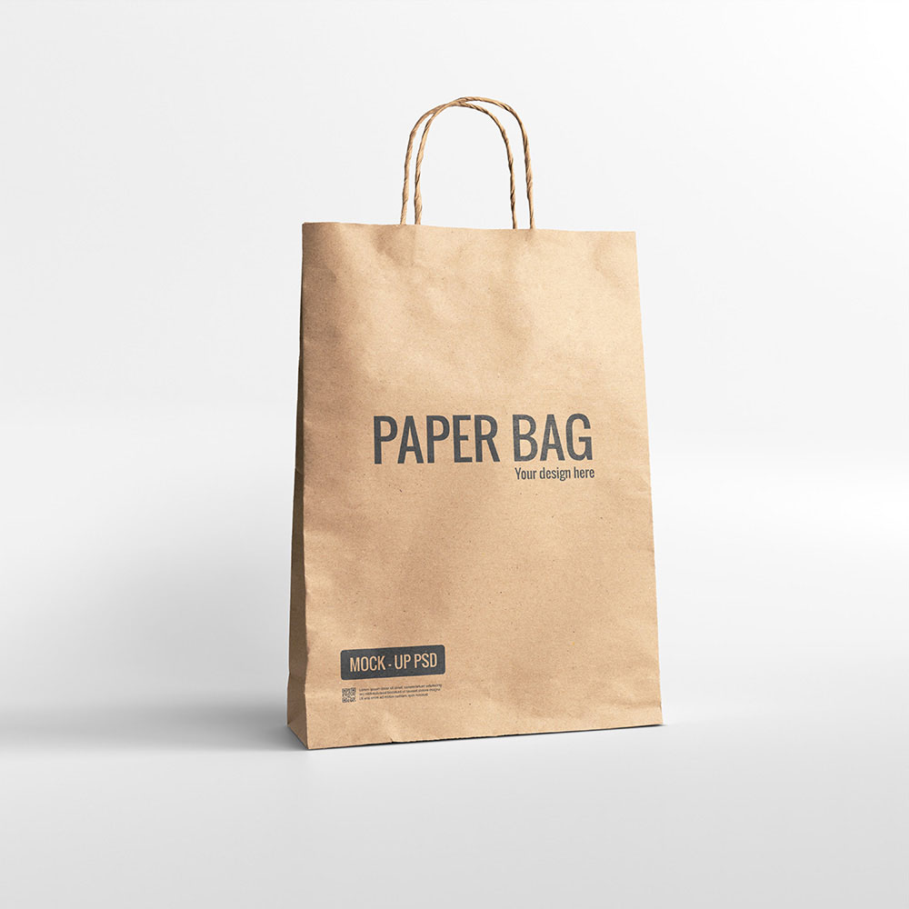 Package Paper Bag TRANSLAB EXPRESS